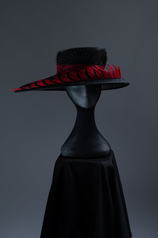 Black and red wide brimmed hat
